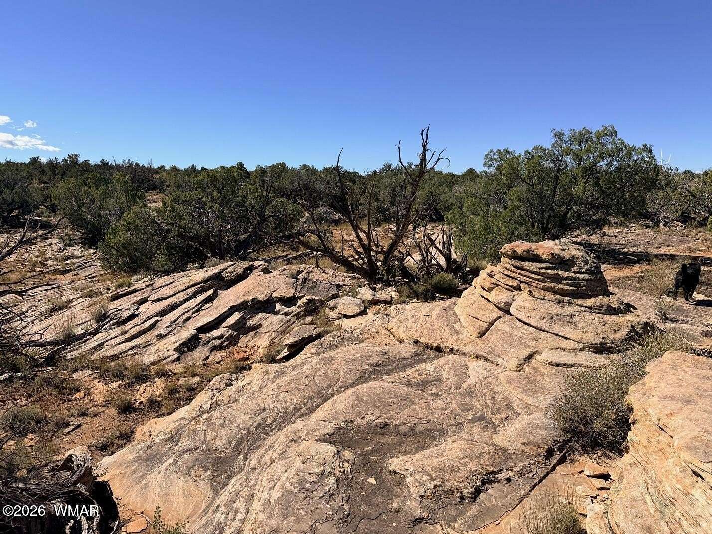 38.1 Acres of Recreational & Residential Land for Sale in Snowflake, Arizona