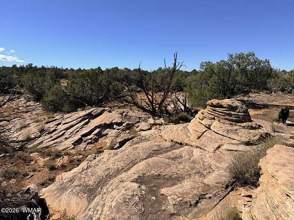 38.1 Acres of Recreational & Residential Land for Sale in Snowflake, Arizona