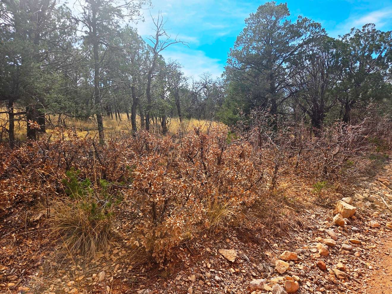 1.15 Acres of Residential Land for Sale in Timberon, New Mexico