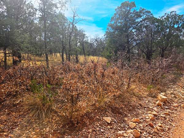 1.15 Acres of Residential Land for Sale in Timberon, New Mexico