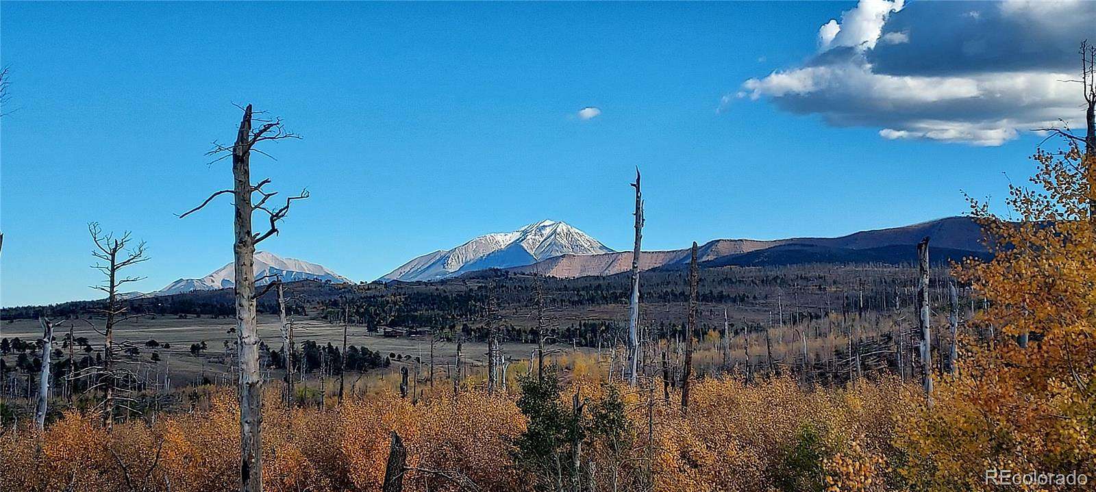 3 Acres of Residential Land for Sale in Fort Garland, Colorado