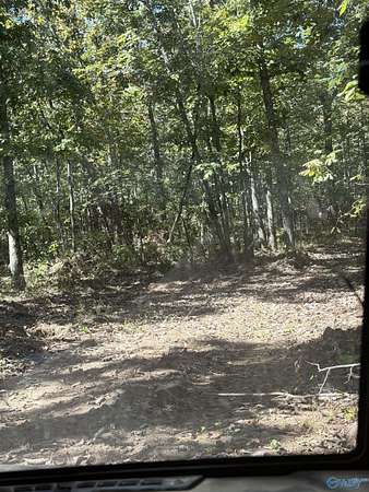 80 Acres of Land for Sale in Mentone, Alabama