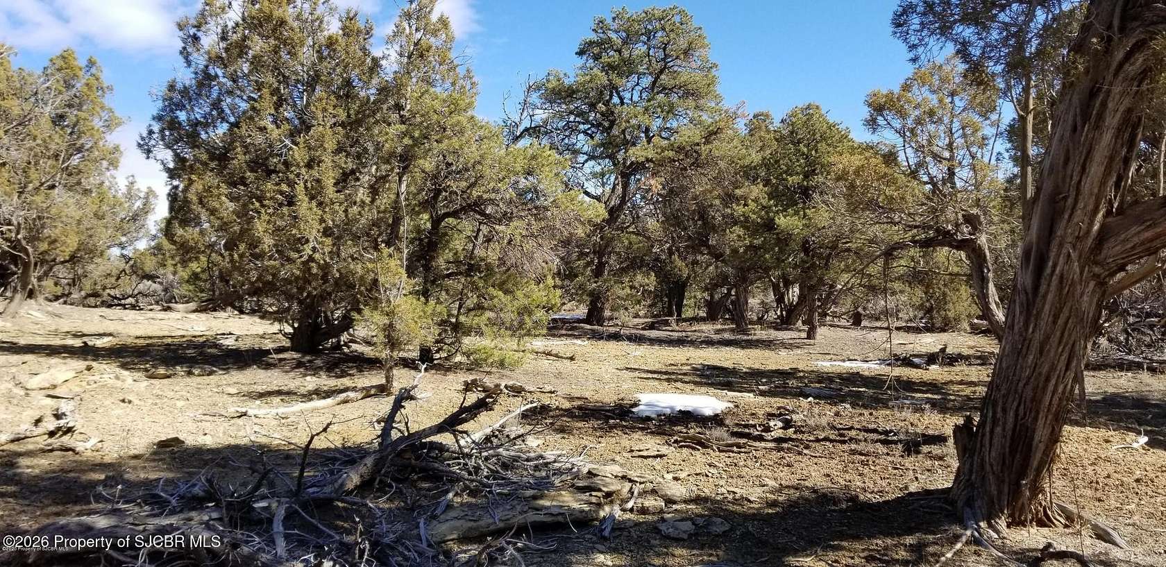 40 Acres of Recreational Land for Sale in Navajo Dam, New Mexico