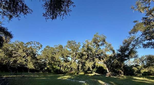 14.3 Acres of Recreational & Residential Land for Sale in Old Town, Florida