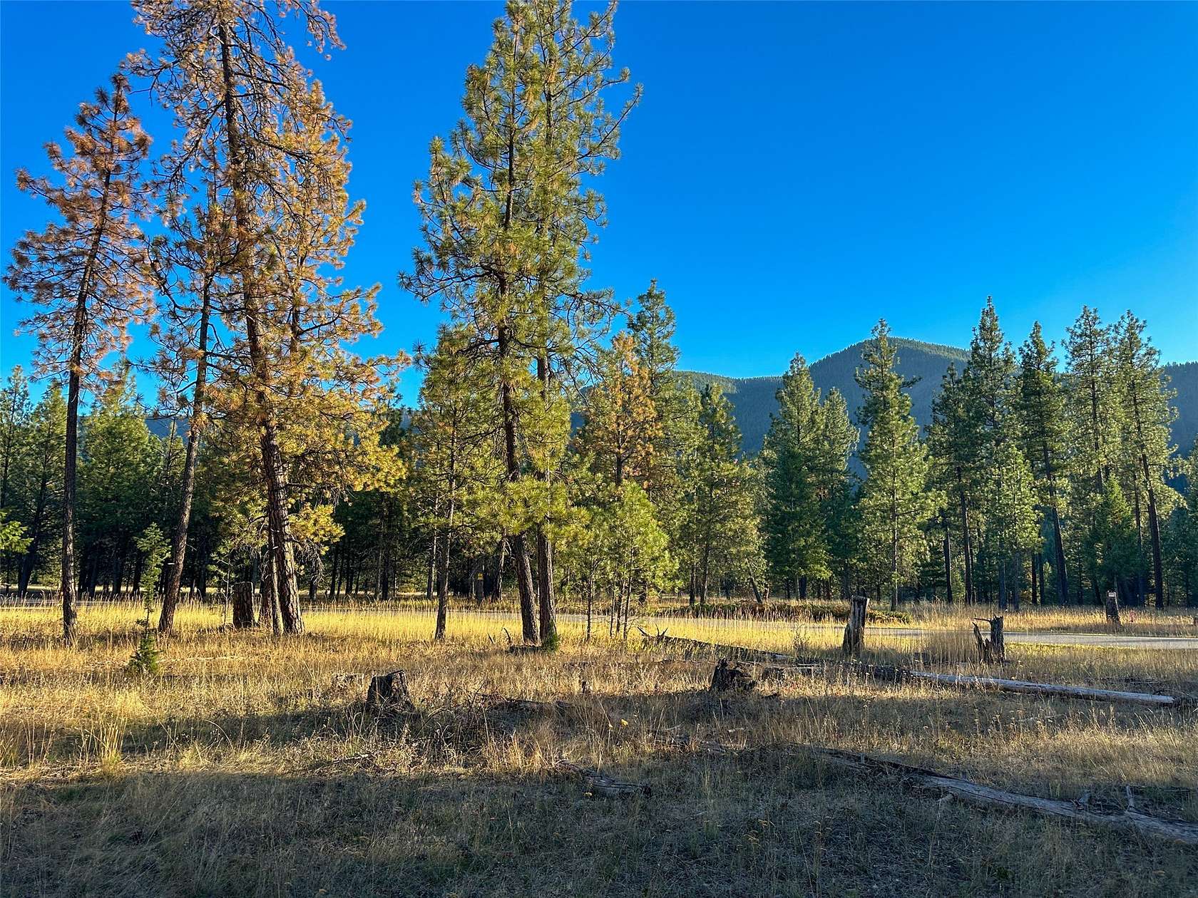 3 Acres of Land for Sale in Thompson Falls, Montana
