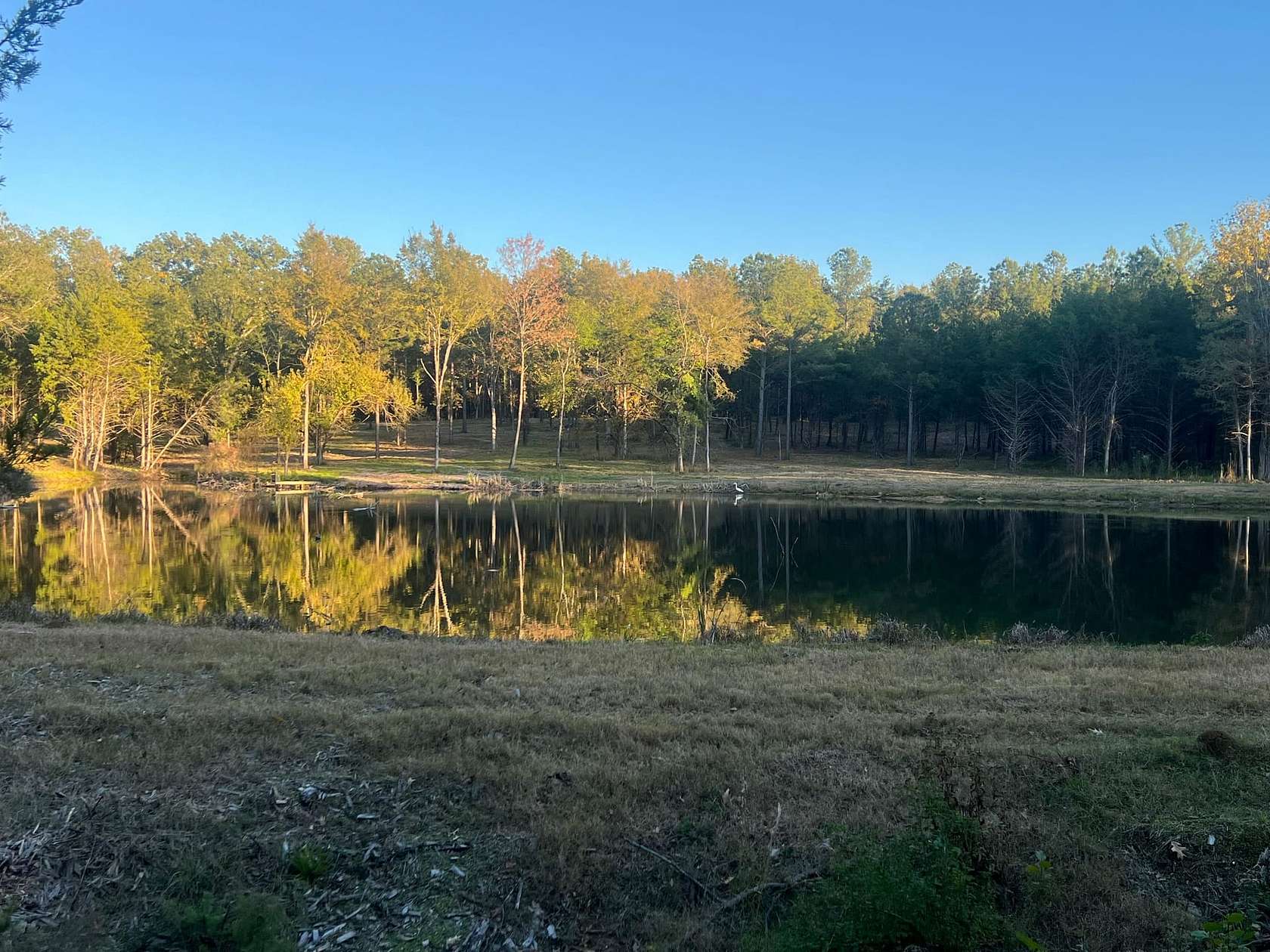 15 Acres of Recreational & Residential Land for Sale in Madison, Mississippi
