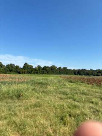 140 Acres of Land for Sale in Wheatley, Arkansas