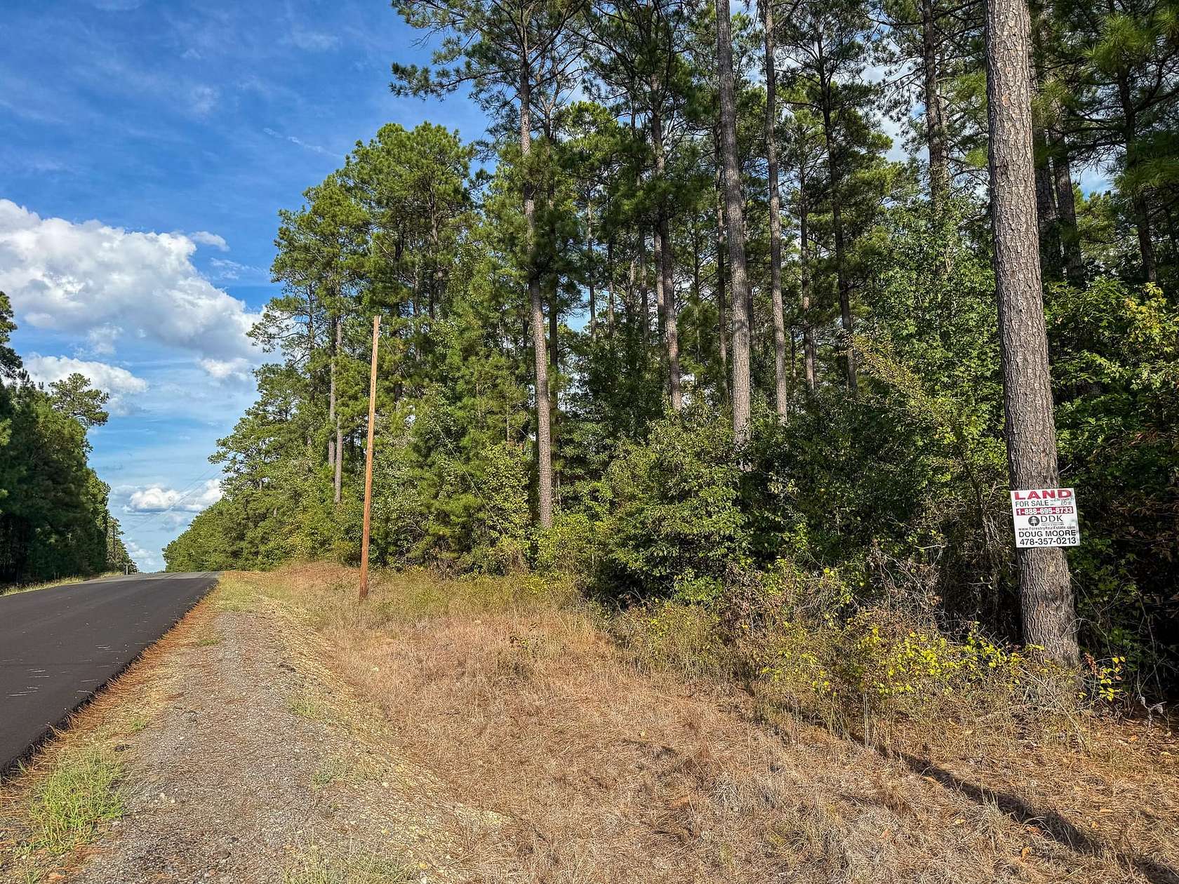 80 Acres of Recreational Land for Auction in Fordyce, Arkansas