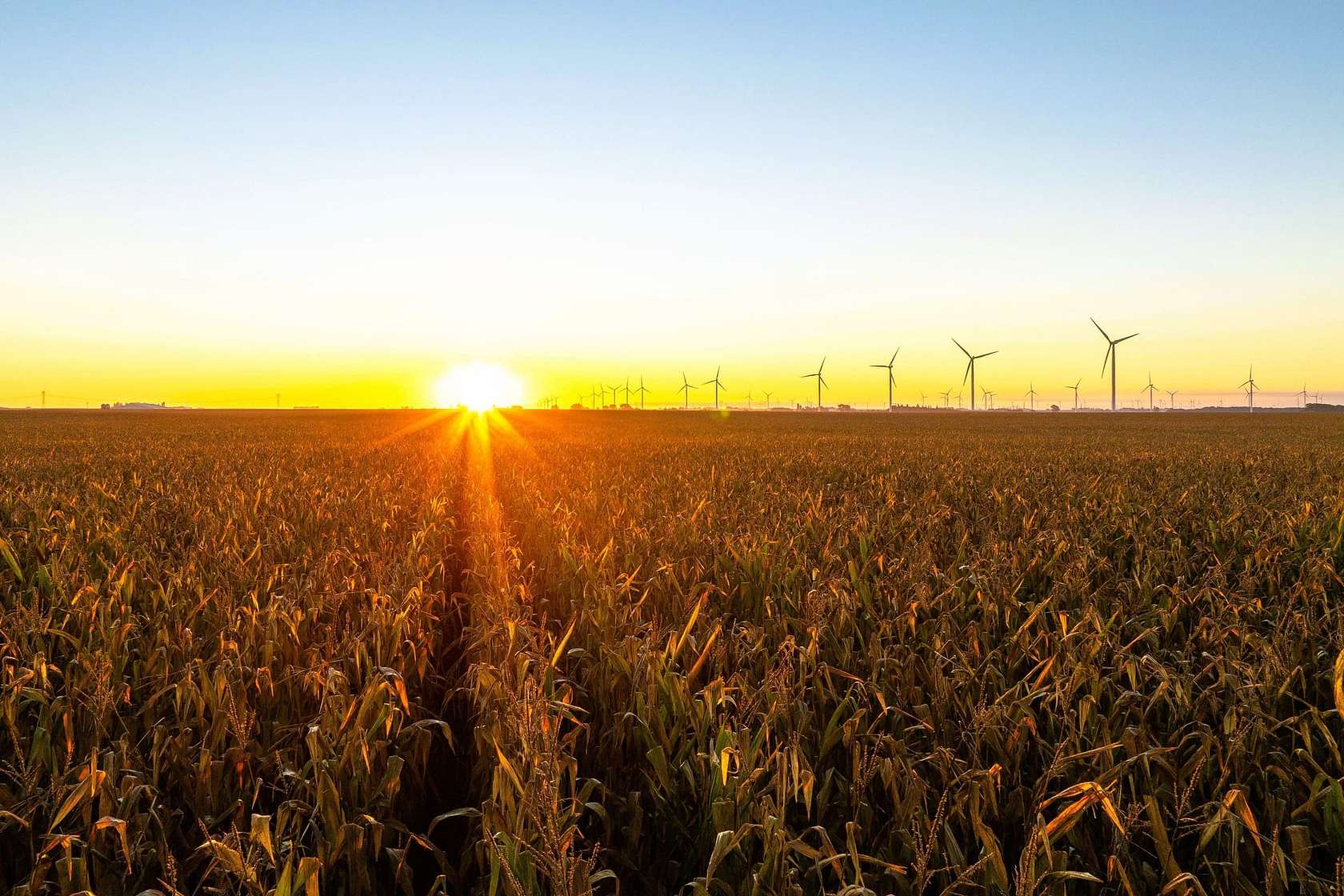 3,071 Acres of Land for Auction in Austinville, Iowa