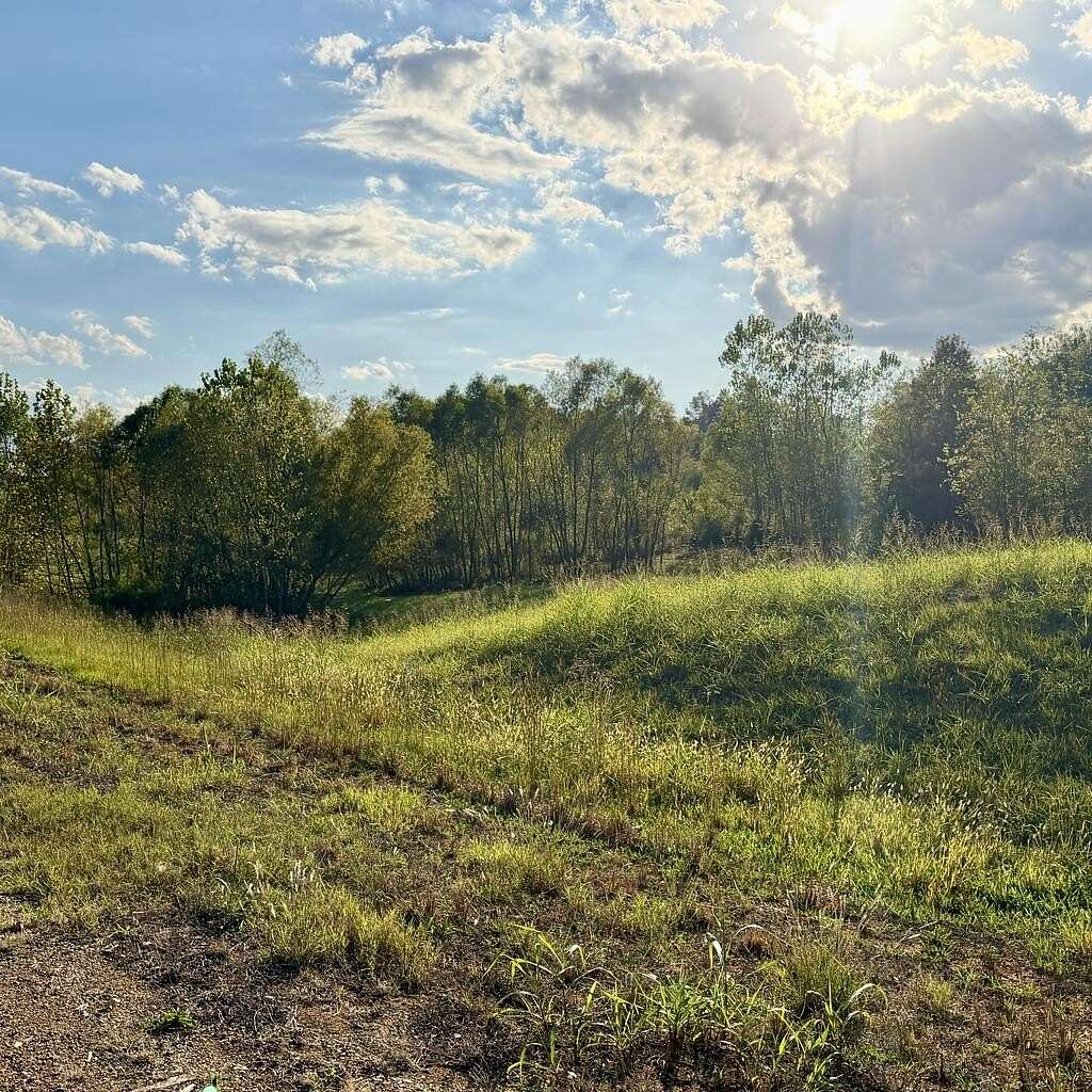 13 Acres of Commercial Land for Sale in Belden, Mississippi