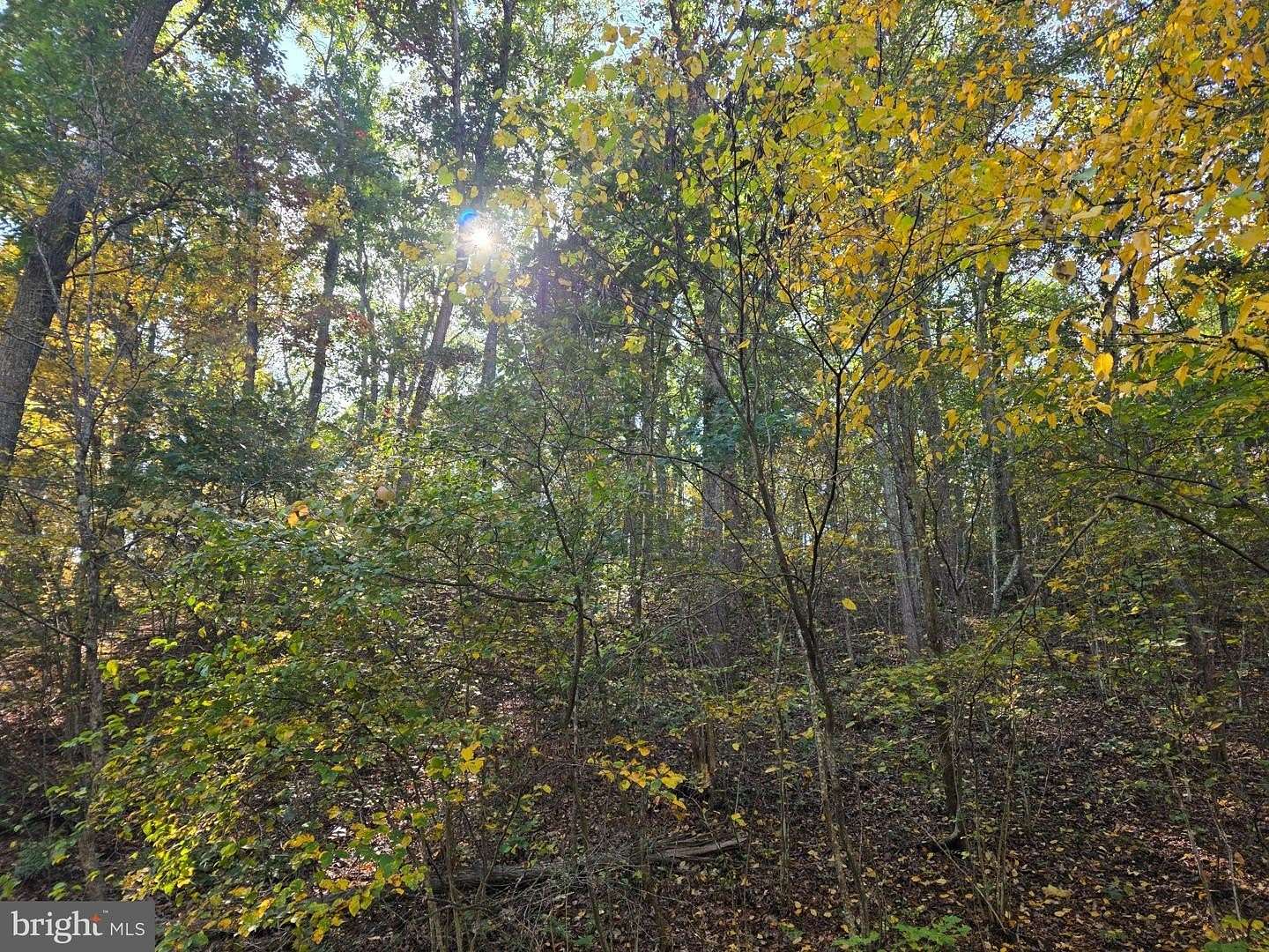 5.17 Acres of Residential Land for Sale in Hedgesville, West Virginia