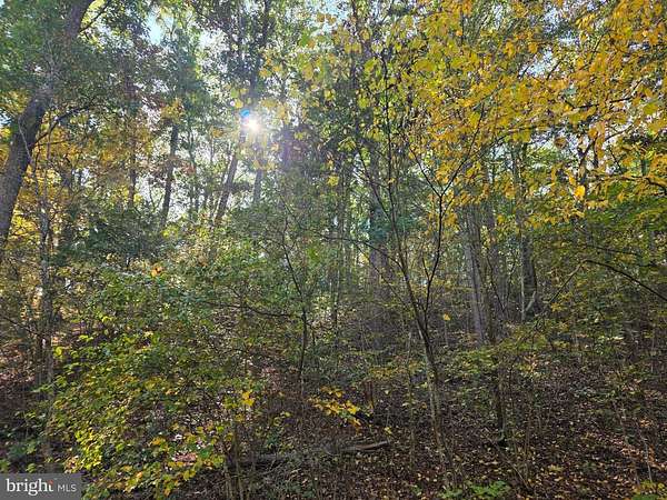 5.17 Acres of Residential Land for Sale in Hedgesville, West Virginia