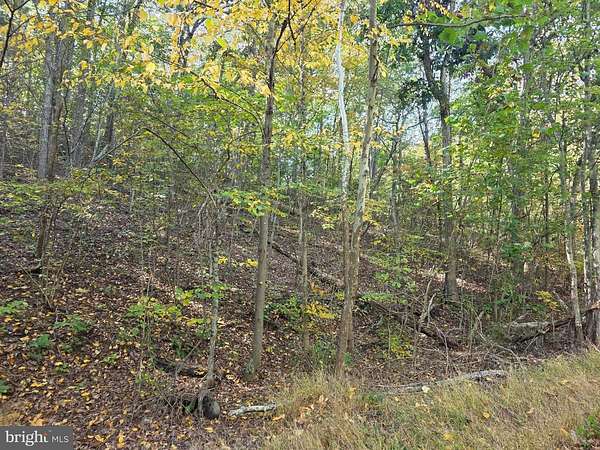 5.7 Acres of Residential Land for Sale in Hedgesville, West Virginia