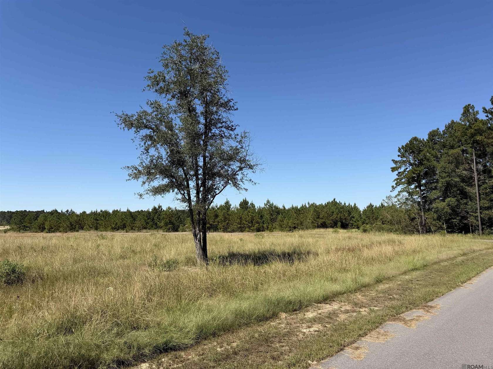 2 Acres of Residential Land for Sale in Pine Grove, Louisiana
