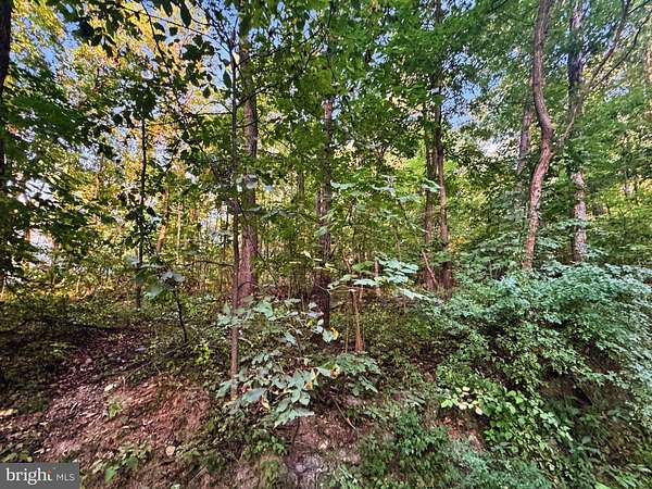 0.53 Acres of Residential Land for Sale in Harpers Ferry, West Virginia