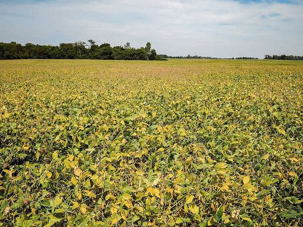 79 Acres of Land with Home for Auction in Alexandria, Indiana