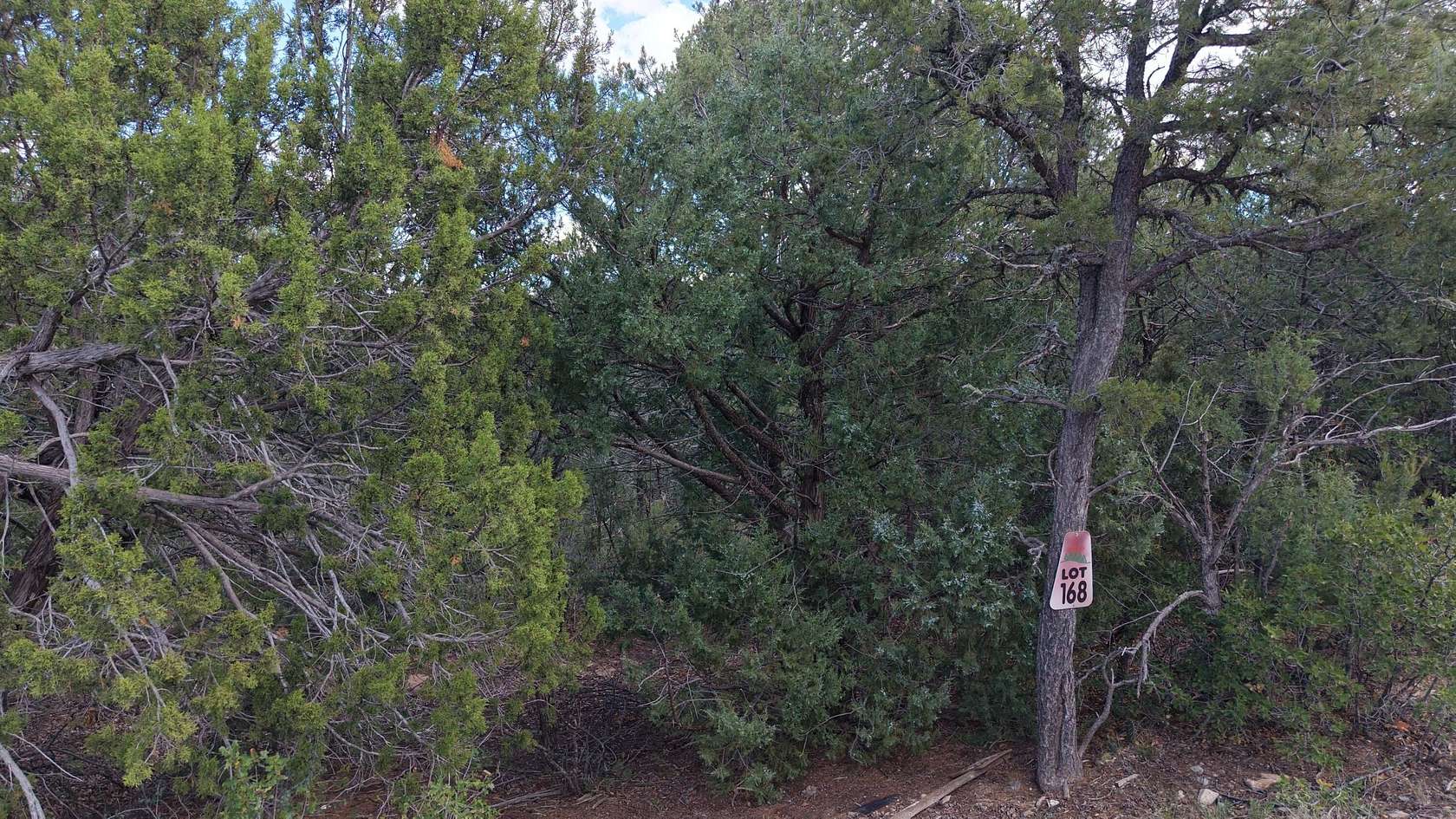 1.58 Acres of Residential Land for Sale in Tijeras, New Mexico