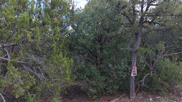 1.58 Acres of Residential Land for Sale in Tijeras, New Mexico