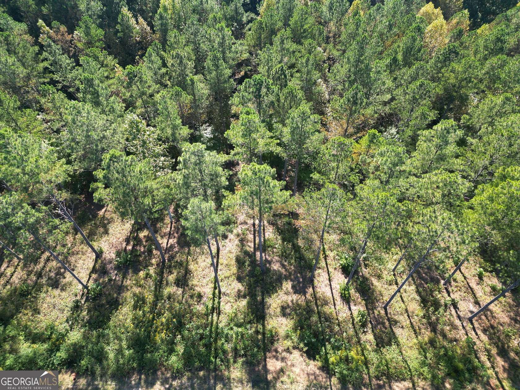 1.83 Acres of Residential Land for Sale in Ellijay, Georgia