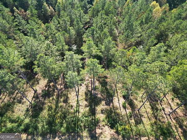 1.83 Acres of Residential Land for Sale in Ellijay, Georgia