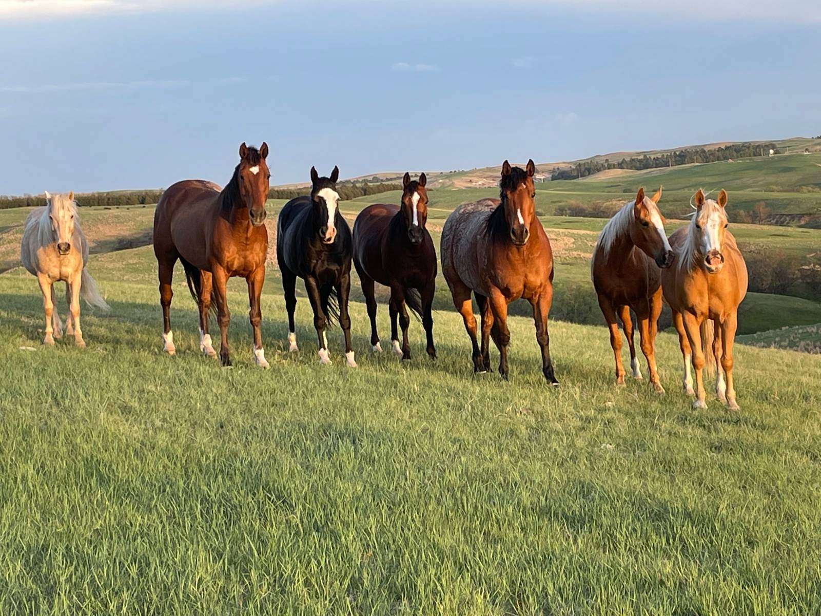960 Acres of Land with Home for Sale in Martin, South Dakota