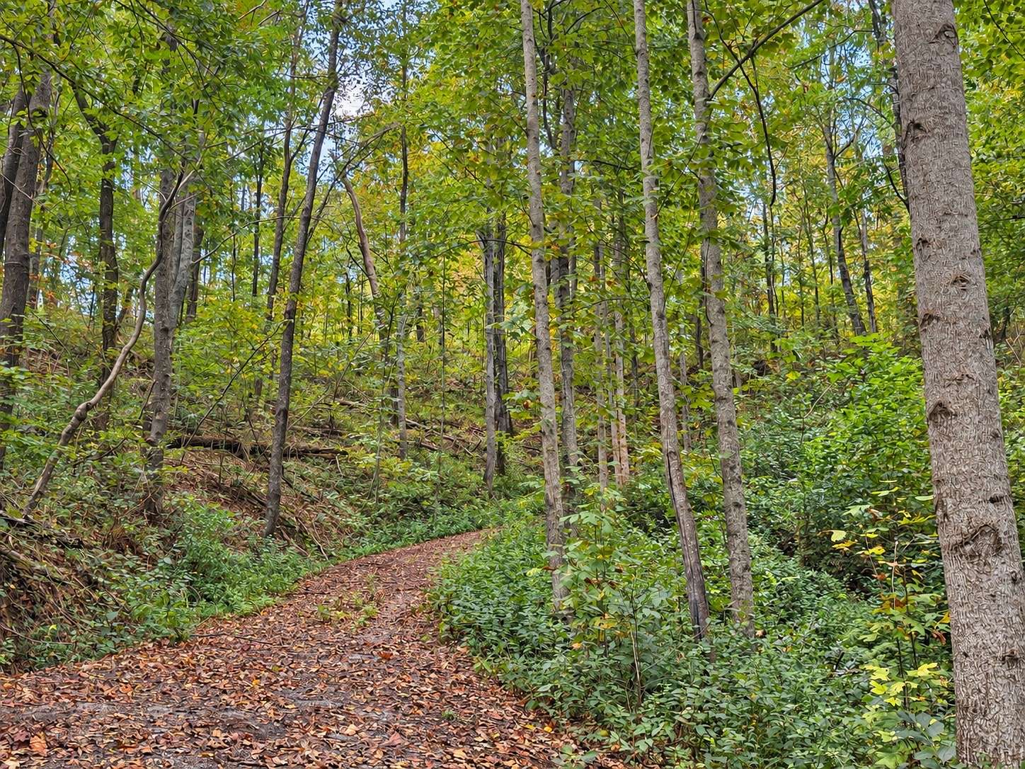 0.89 Acres of Residential Land for Sale in Lancaster, Tennessee