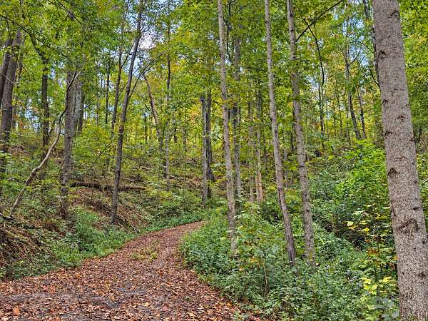 0.89 Acres of Residential Land for Sale in Lancaster, Tennessee