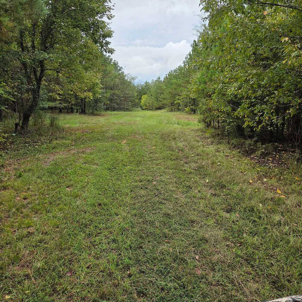 520 Acres of Recreational & Residential Land for Sale in Pine Level, Alabama