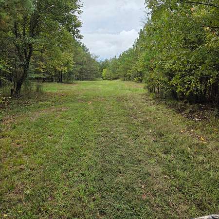 520 Acres of Recreational & Residential Land for Sale in Pine Level, Alabama