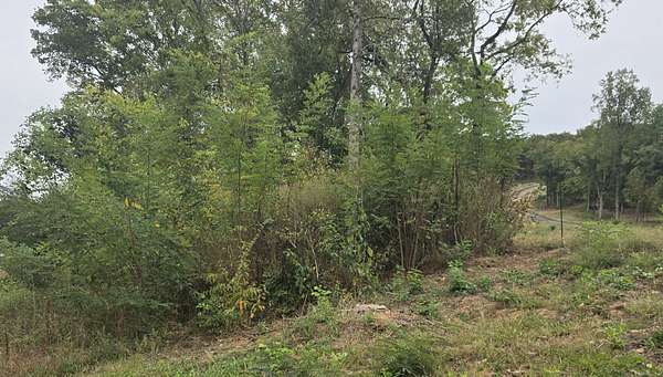 5.5 Acres of Residential Land for Sale in Huntsville, Alabama