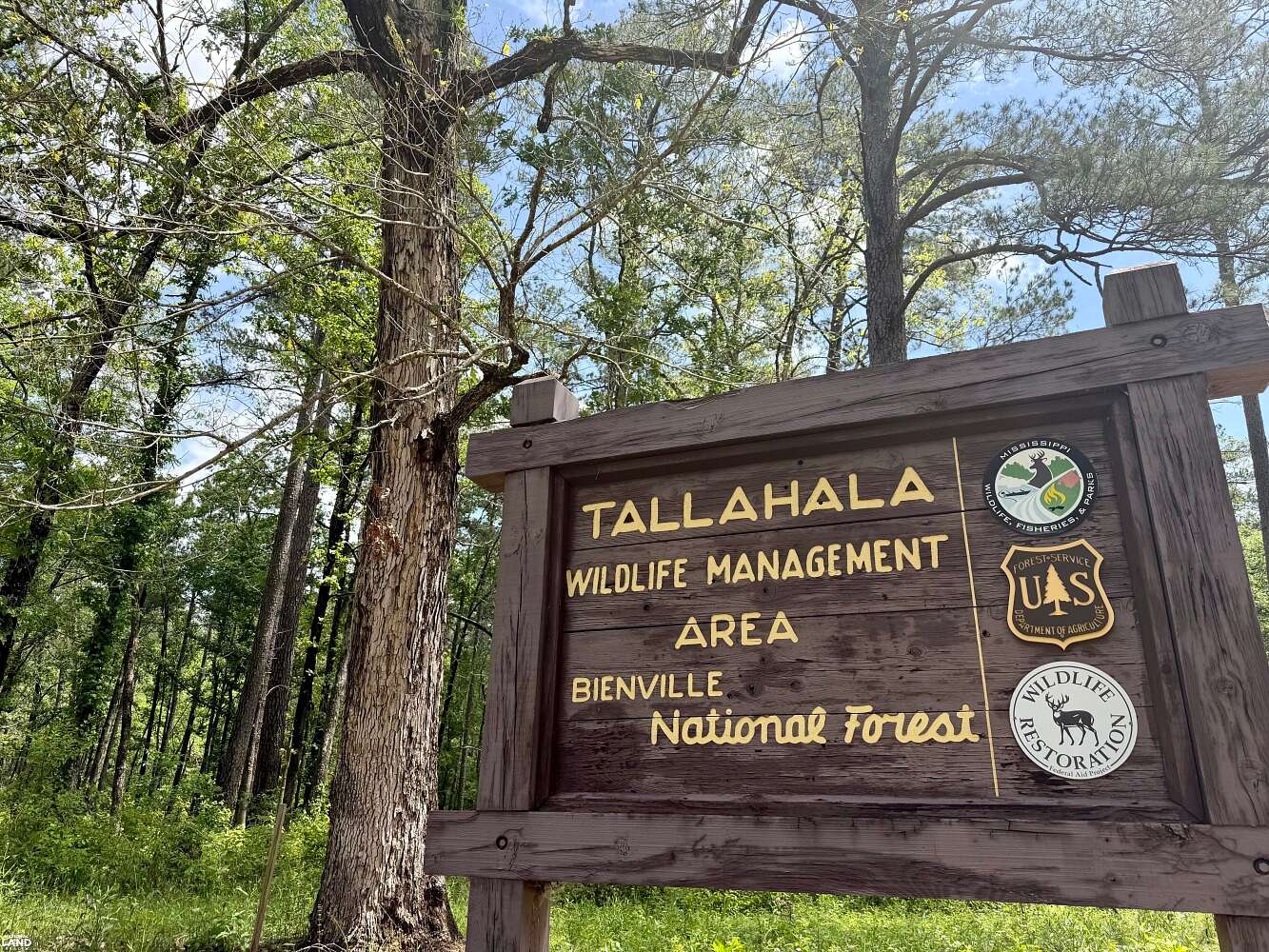 10 Acres of Recreational & Residential Land for Sale in Lake, Mississippi