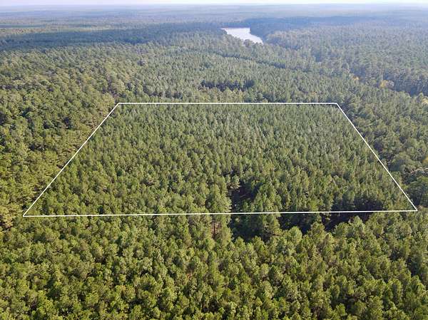 10 Acres of Recreational & Residential Land for Sale in Lake, Mississippi