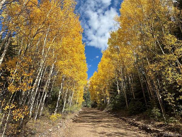 7.2 Acres of Residential Land for Sale in San Luis, Colorado