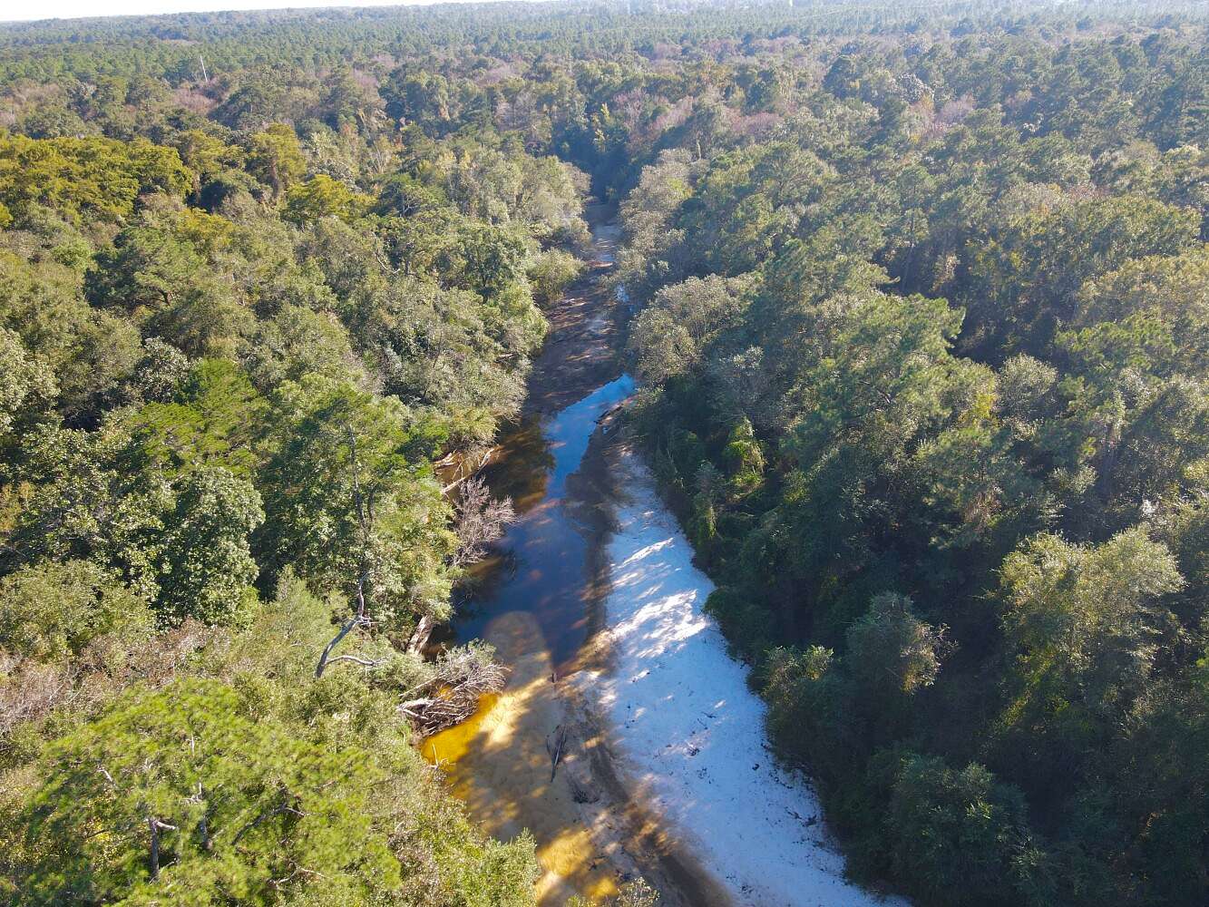 61.8 Acres of Recreational Land for Sale in Gulfport, Mississippi