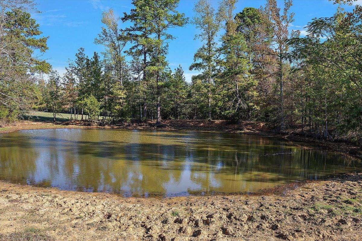 31.8 Acres of Land for Sale in Avinger, Texas