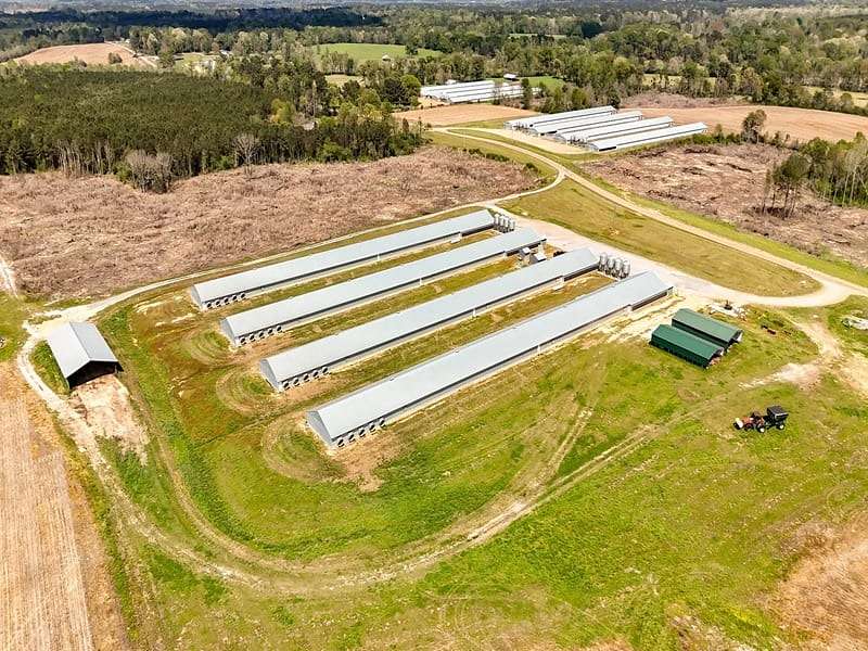17.5 Acres of Agricultural Land for Sale in Magee, Mississippi