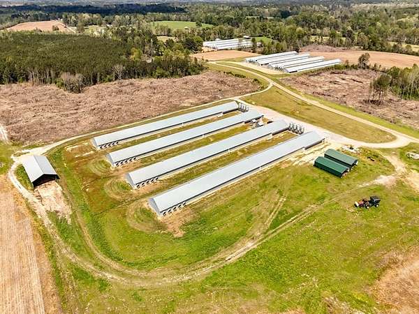 17.5 Acres of Agricultural Land for Sale in Magee, Mississippi
