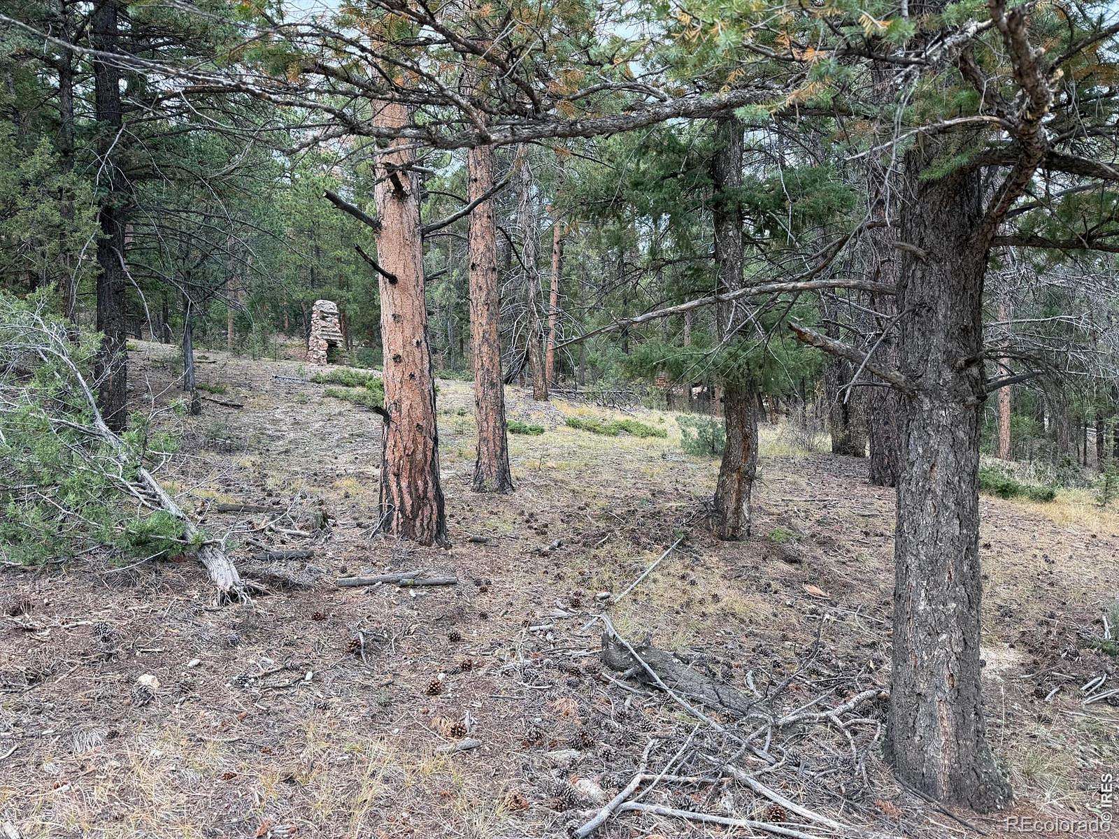 2 Acres of Residential Land for Sale in Pine Grove, Colorado