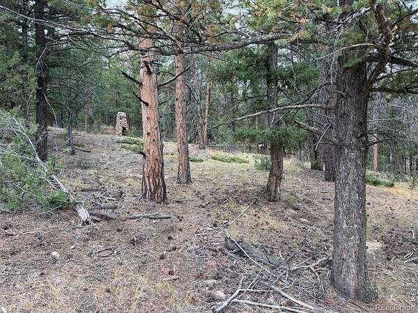 2 Acres of Residential Land for Sale in Pine Grove, Colorado