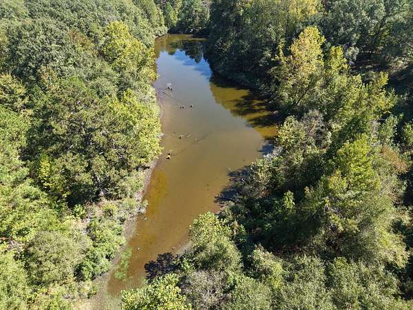 65 Acres of Land for Sale in Safford, Alabama