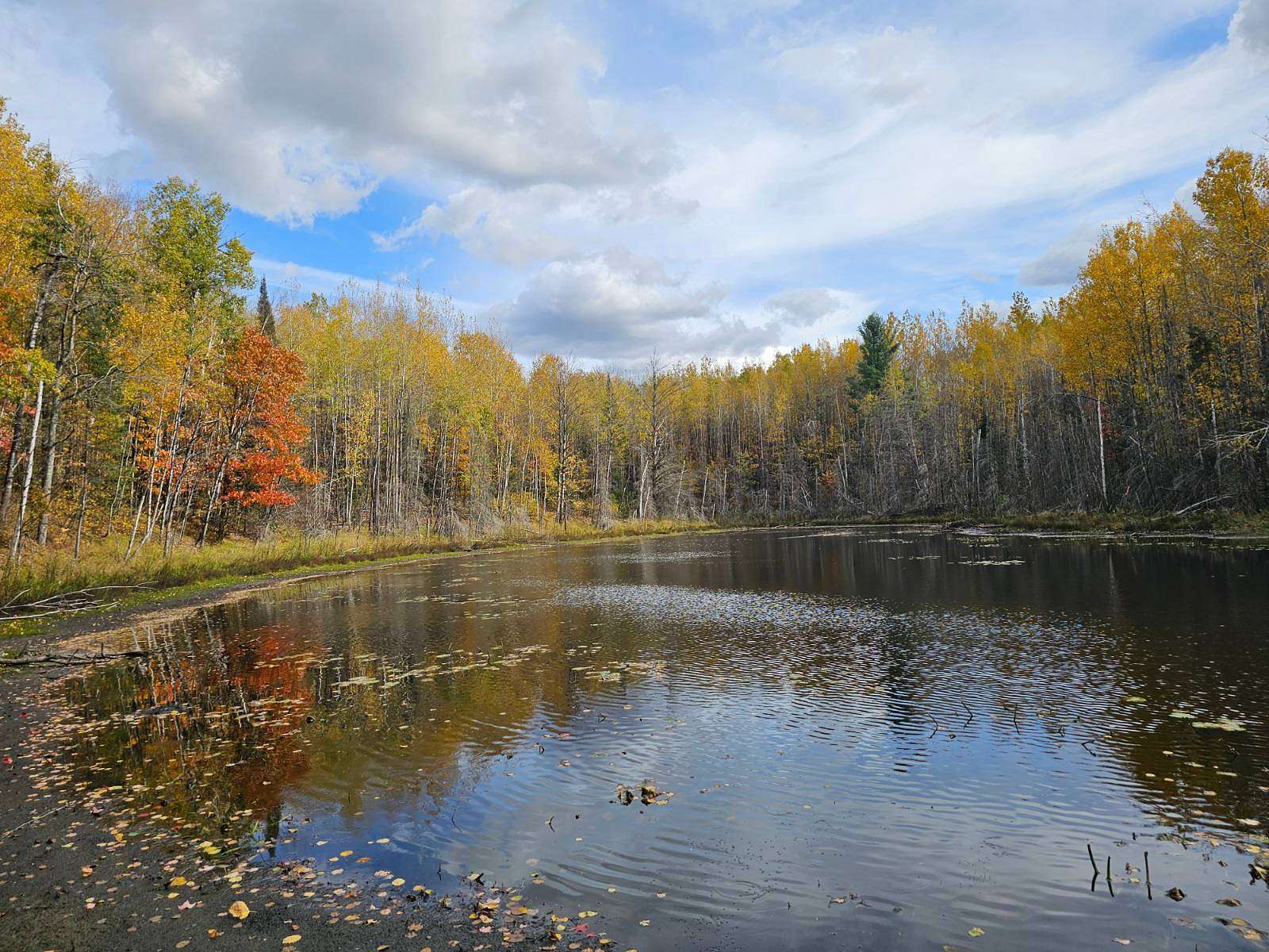 5 Acres of Recreational Land for Sale in Crandon, Wisconsin