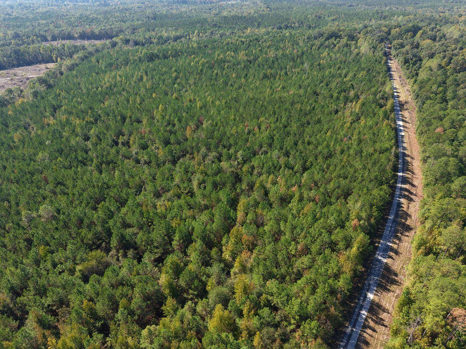 92 Acres of Land for Sale in Safford, Alabama