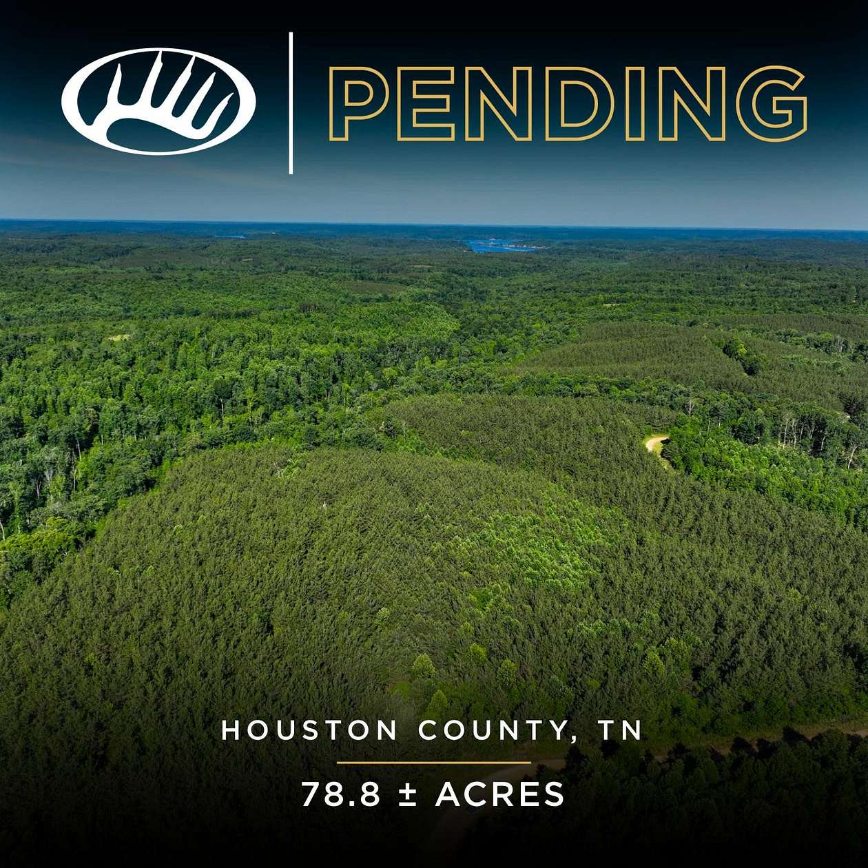 75.9 Acres of Land for Sale in Stewart, Tennessee