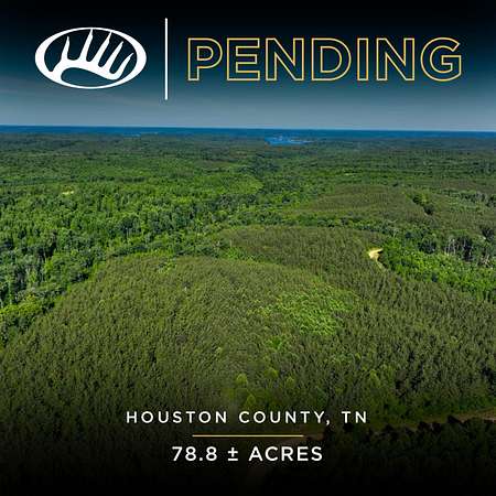 75.9 Acres of Land for Sale in Stewart, Tennessee