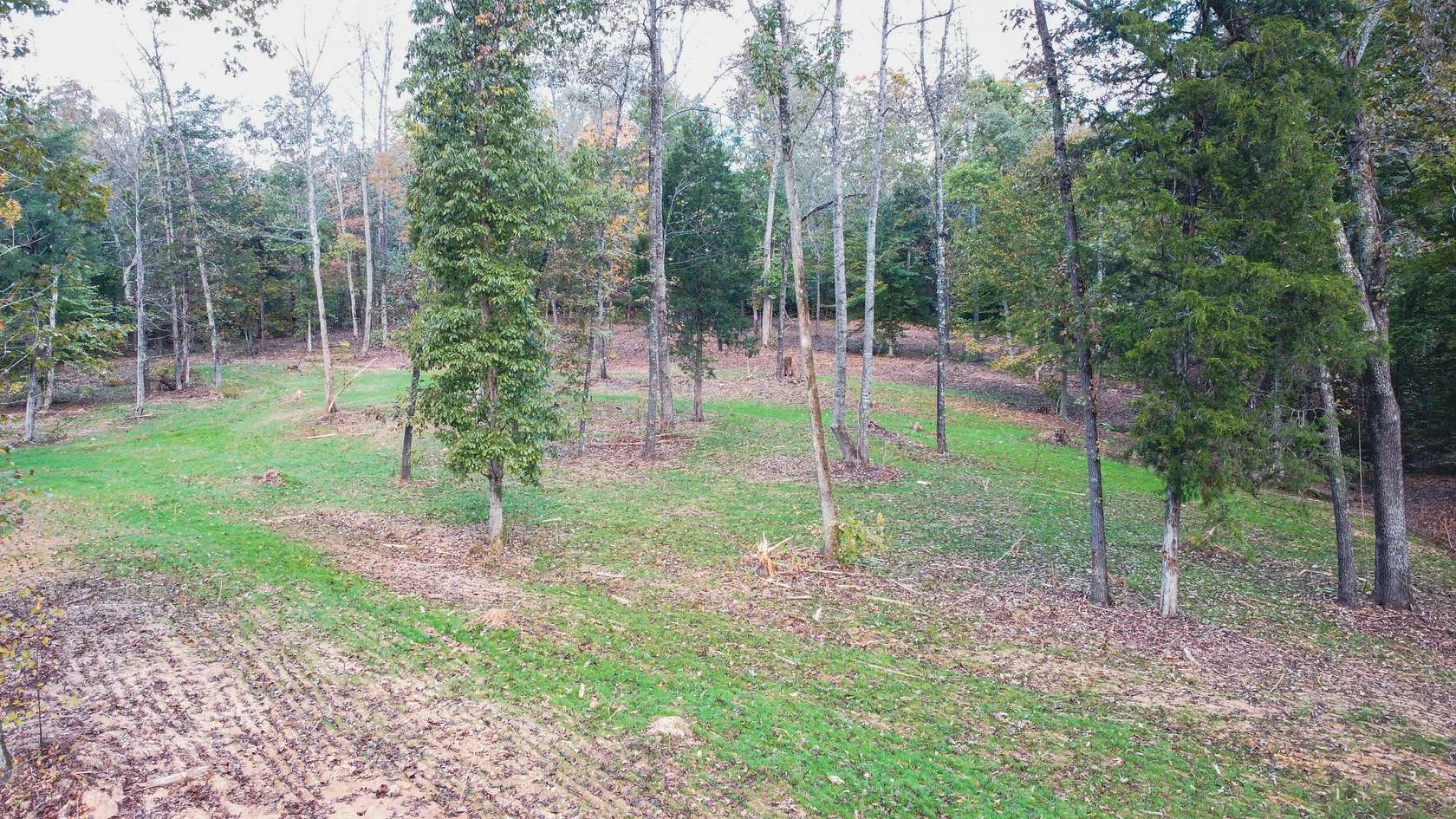 10.3 Acres of Land for Sale in Cumberland Furnace, Tennessee
