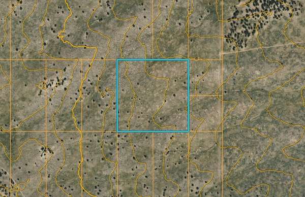 10 Acres of Recreational & Residential Land for Sale in Sanders, Arizona