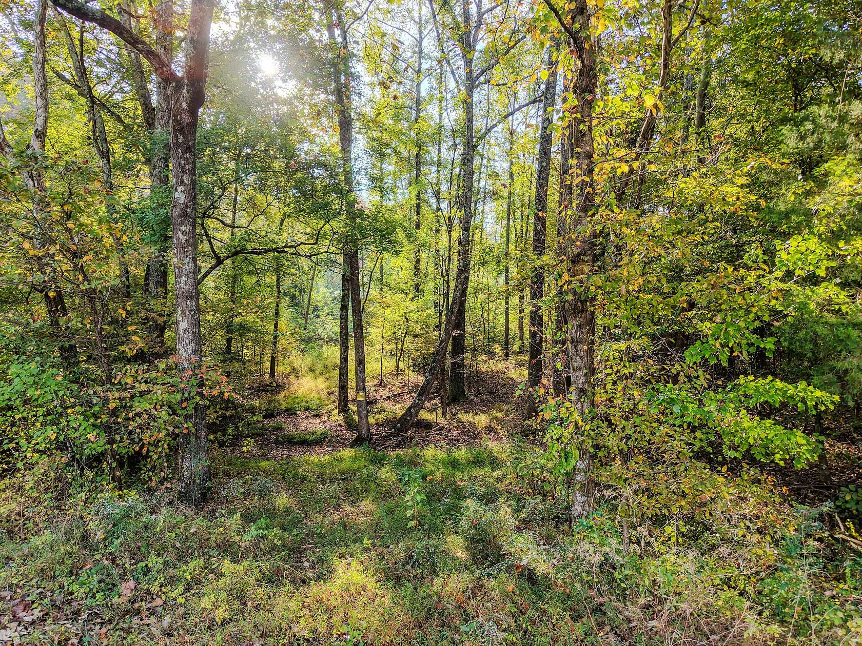 245 Acres of Recreational Land for Sale in Lutts, Tennessee