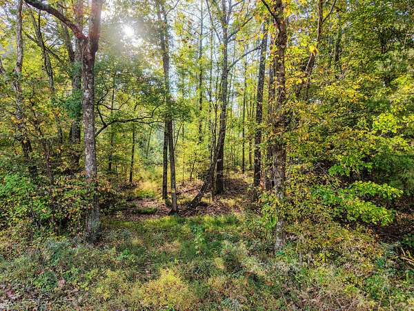 245 Acres of Recreational Land for Sale in Lutts, Tennessee