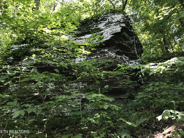 148 Acres of Recreational Land for Sale in Crossville, Tennessee