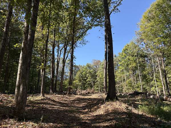 6.3 Acres of Residential Land for Sale in Charlotte, Tennessee